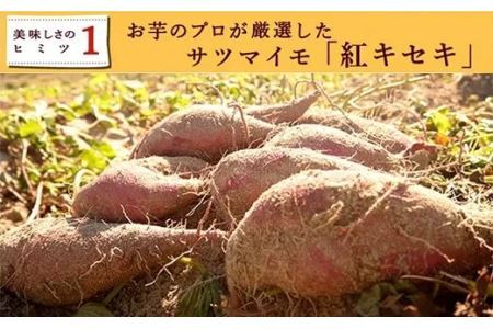 干し芋 おいもや の 二代目干し芋 100ｇ×８袋セット 計800ｇ おいもや 角 角切り スティックタイプ 5861