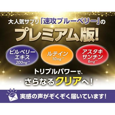ふるさと納税 袋井市 DHC速攻ブルーベリー V-MAX 30日分12個セット |  | 01