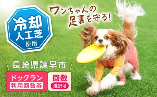 ドッグラン利用券(12回分) / ドッグラン 犬 施設 利用券 利用チケット 回数券 ペット / 諫早市 / 株式会社美泉 [AHAP042]