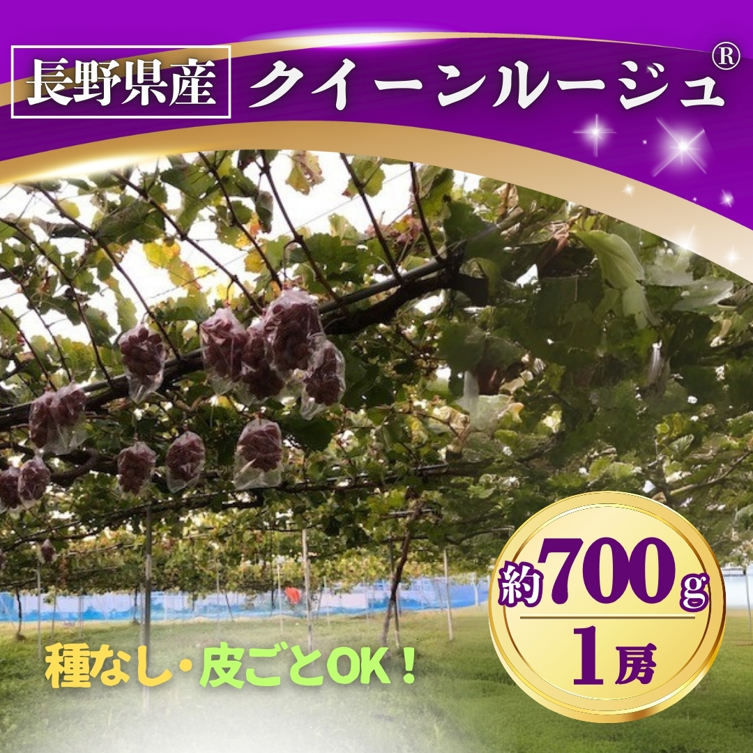 ぶどう クイーンルージュ®︎約700g(1房) 長野県オリジナル品種｜ 果物 フルーツ 赤ぶどう 葡萄 ブドウ 種無し 種なし 皮ごと 千曲市 長野県 信州