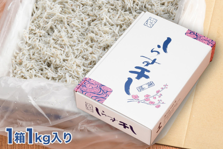 定期便 しらす干し (1kg×5か月) 天然 ふっくら 大洗 名産 しらす シラス 魚 さかな 魚介 離乳食