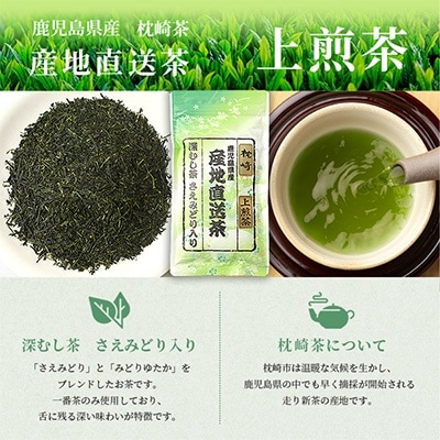 大河内製茶の煎茶飲み比べ【 3種 】セット ( 特上煎茶・上煎茶・煎茶 )  A3-220【1167085】