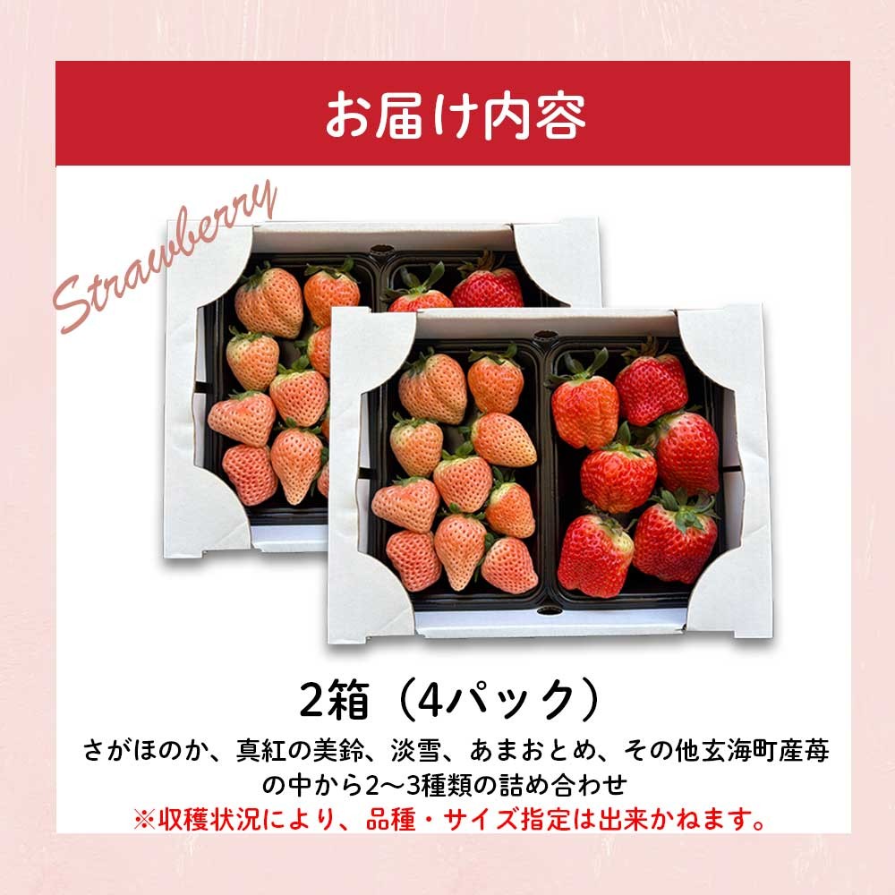 ★予約受付★杉山いちご農園【2月～5月 順次配送】玄海町産いろどりいちご詰め合わせ（家庭用・訳あり）