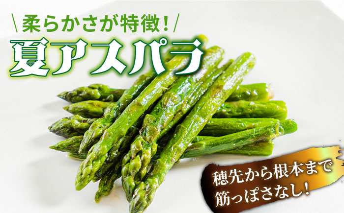 【2026年5月下旬～発送】【数量限定】甘い！柔らかい！厳選 グリーン アスパラガス 約1kg / 南島原市 / ほしのYA [SEY001]