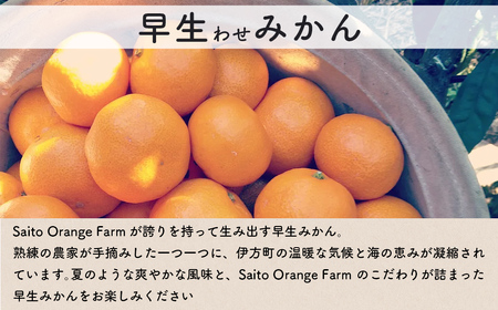 【先行予約】Saito Orange Farmの早生（わせ）みかん10kg （2026年11月下旬頃より順次発送予定） IKTAQ021
