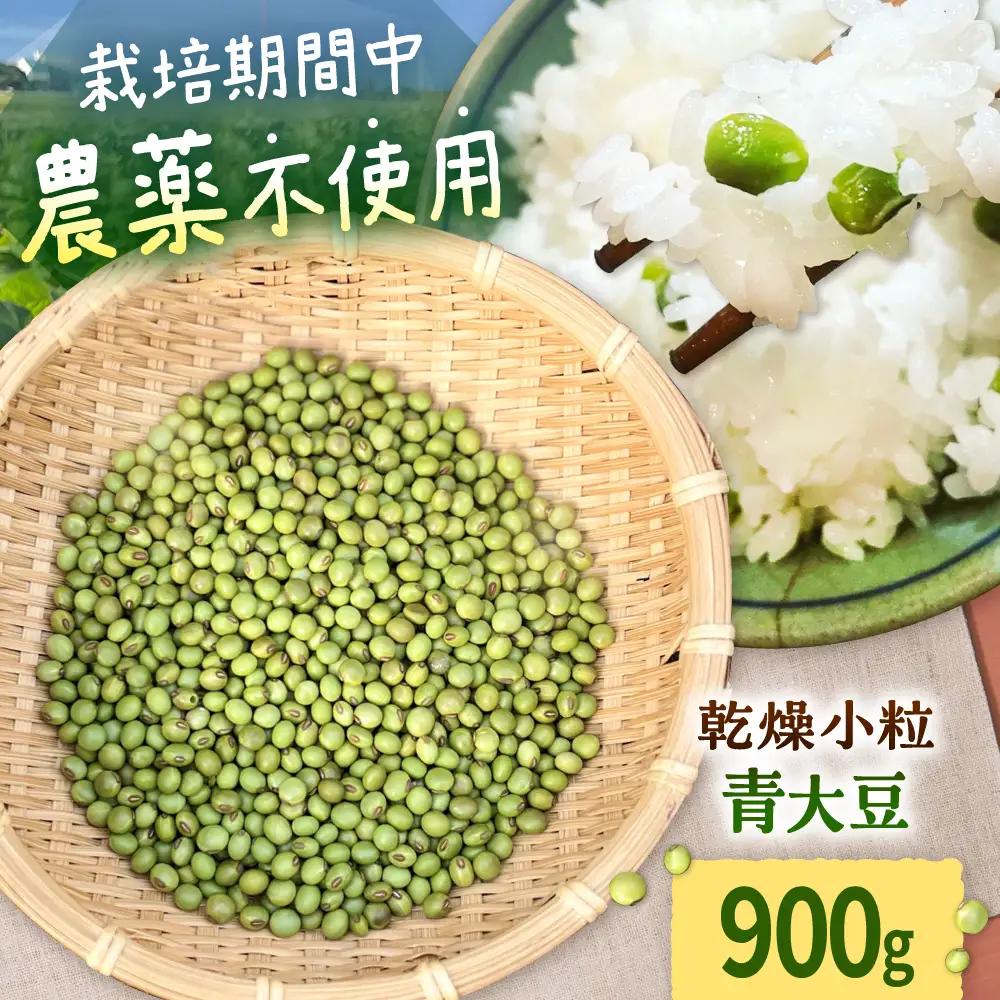 乾燥小粒青大豆（品種：黒神）900g【ekam】 大豆  [AXBV001]