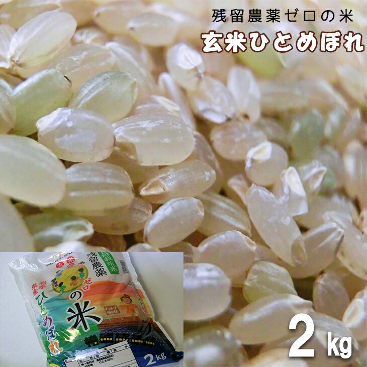 【ふるさと納税】2025年産 農薬アレルギーの方でも安心！「残留農薬0の米」玄米ひとめぼれ おためし2kg