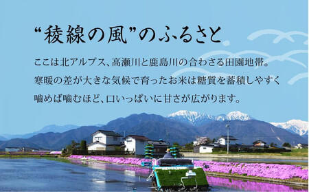 【信濃大町産】稜線の風(コシヒカリ)5kg