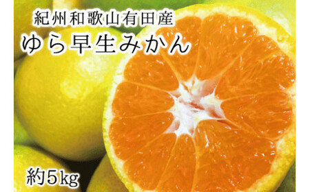 紀州和歌山有田産ゆら早生みかん 5kg　※2024年10月中旬頃～2024年10月下旬頃順次発送（お届け日指定不可）【uot721】