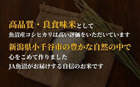 魚沼産コシヒカリ 令和7年 定期便 30kg おぢや米 5キロ×6回 毎月 小千谷市 コシヒカリ