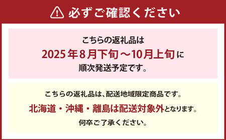 岡山県産 ニューピオーネ 4房 （1房480g以上） 約2kg 【2025年8月下旬～10月上旬発送予定】 ／ 葡萄 ぶどう 果物 果実 フルーツ 種なし 岡山県 美咲町 冷蔵