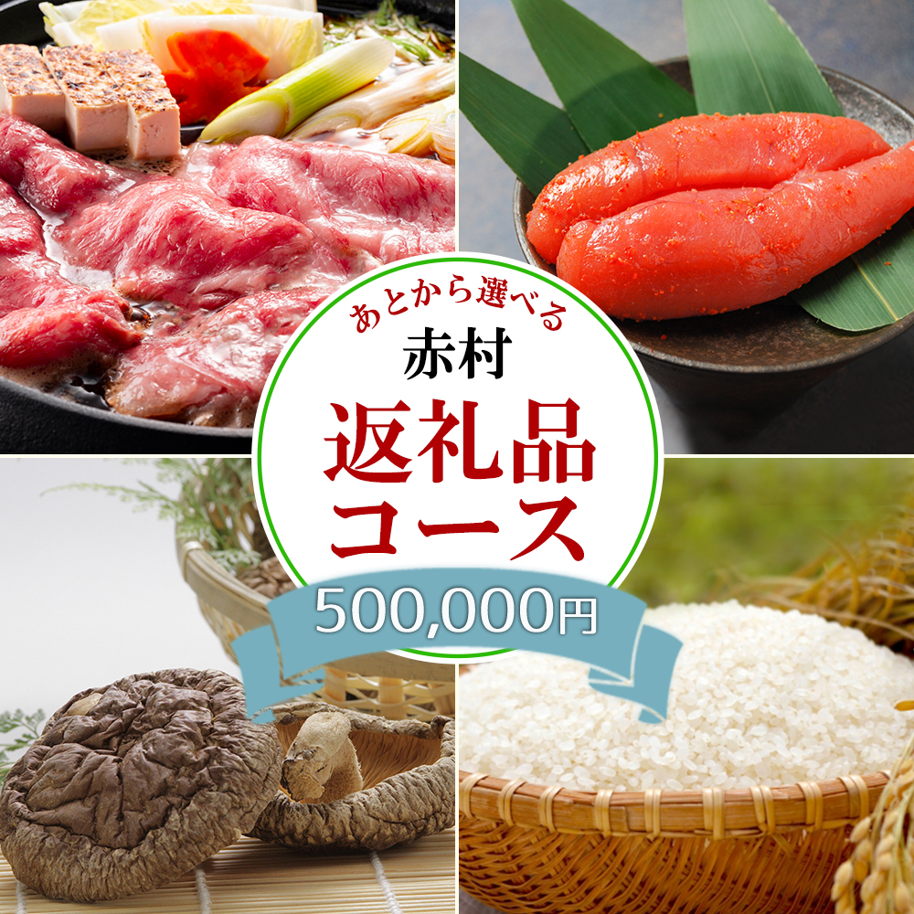 あとから選べる返礼品【５０万円コース】