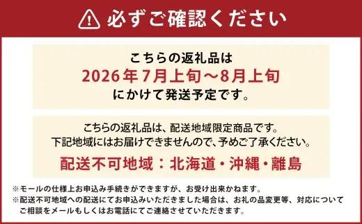 岡山白桃 5 ～ 6玉 約1.3kg 白桃 もも モモ 桃 くだもの フルーツ 果実 果物 果汁 国産 岡山県産 【 2026年7月上旬～8月上旬発送予定 】