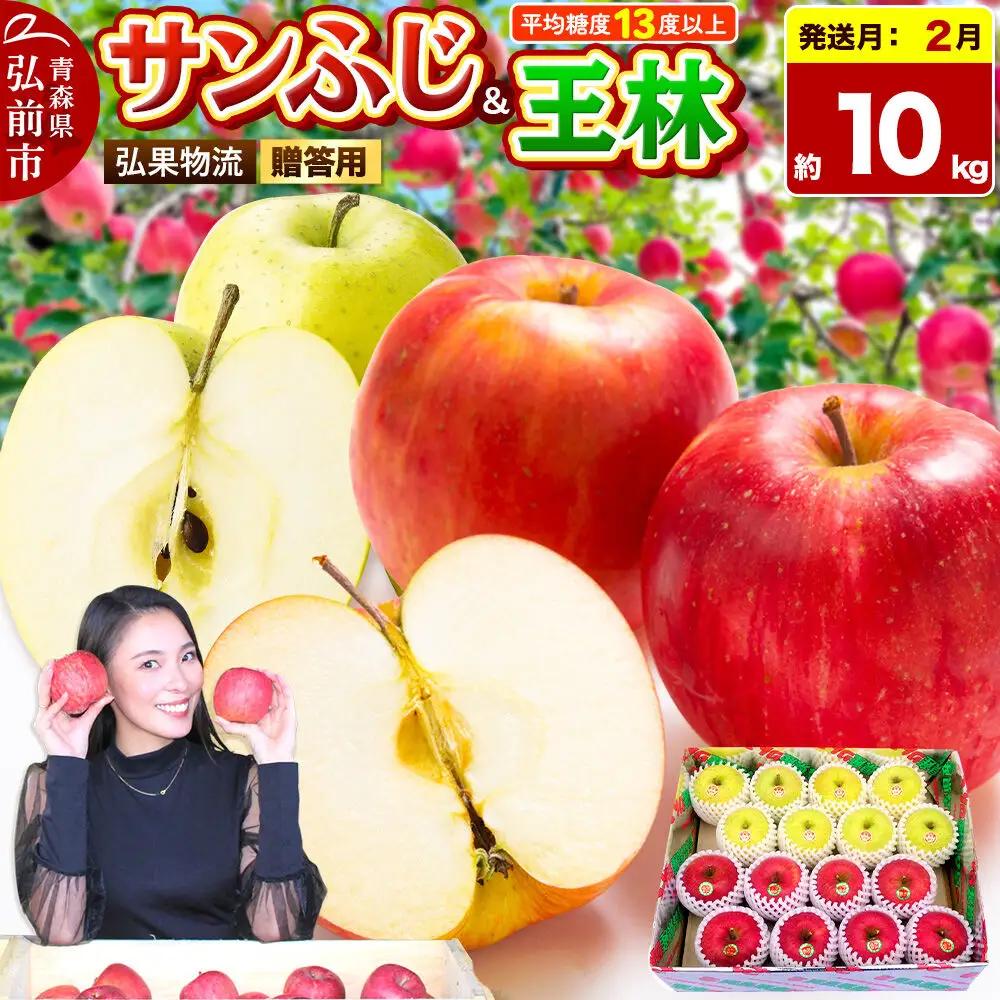 りんご サンふじ・王林 詰め合わせ 贈答用 約10kg【2月発送】りんご