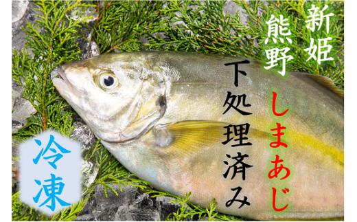 【配送日指定可】 アジ 新姫熊野しまあじ 1匹 下処理済み【冷凍】あじ シマアジ 鯵 刺身 お刺身 さしみ 真空 海鮮 魚介 鮮魚 寿司 お寿司 しゃぶしゃぶ あじフライ アジフライ 水谷水産 三重県 熊野市【mzsi0004-2】