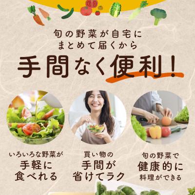 ふるさと納税 泉佐野市 【毎月定期便】旬の泉州野菜 定期便 10種類 詰め合わせ 全12回 099Z187 |  | 03
