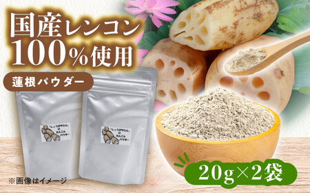 れんこんパウダー 2袋  レンコン 調味料 野菜 愛西市 / しょうがやさん 【配達不可：離島】[AEAO011]