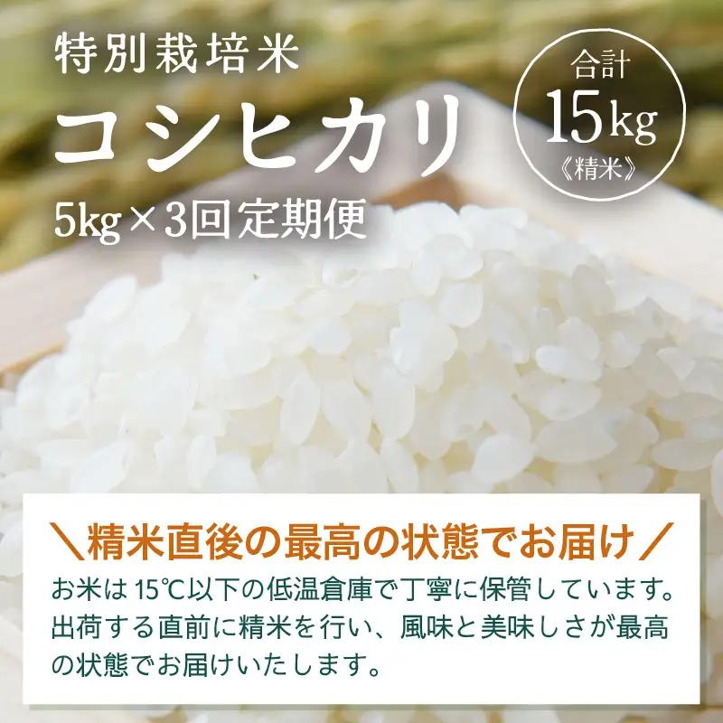 【先行予約】【令和8年産】定期便 ≪3ヶ月連続お届け≫ 特別栽培米 コシヒカリ 精米 5kg×3回（計15kg）※2026年10月上旬より順次発送 [aw121-c001]