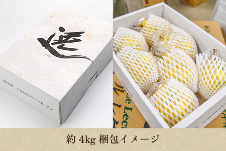 【2025年先行予約】新潟特産 幻の洋梨ル・レクチェ 【赤秀品】約4kg（9～12個）《11月下旬～お届け》