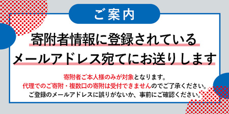 大阪・関西万博入場チケット(夏パス・小人) 何度も入場可能 2025年日本国際博覧会 Expo 2025 EXPO2025 EXPO 2025 大阪 関西 日本 万博 夢洲 ミャクミャク 大阪・関西万