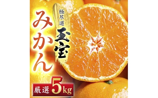 ＜愛媛名産＞玉宝みかん＜雫・・小玉＞(5kg)＜D64-2＞_ みかん ミカン 柑橘 フルーツ くだもの 果物 ふるーつ 青果 果実 甘い ジューシー 産直 産地直送 旬 柑橘類 人気 小玉 【1340914】 YWTY002