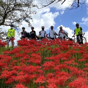 南部町特産品の詰め合わせ 「なんぶ便」 ちょんぼしお気軽コース 5品目 南部町観光協会 はちみつ(150g×1個)、梨コンポート(370g×1個)、季節のフルーツジャム(200g×2個)、ラー油(75