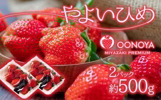 苺大野屋 やよいひめ 厳選いちご250g×2パック（合計500g） 宮崎県西都市＜28-4a＞★
