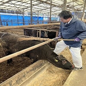【小町の里・幸牛】黒毛和牛ももスライス450g【配送不可地域：離島】【1688256】