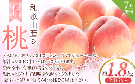 【2・7・9月 全3回】紀州和歌山産旬のフルーツセット（いちご・桃・ピオーネ）【UT95】