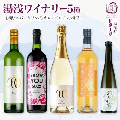 ふるさと納税 湯浅町 湯浅ワイナリー ワインと梅酒5種セット シャルドネ 赤ワイン オレンジワイン スパークリング 梅酒