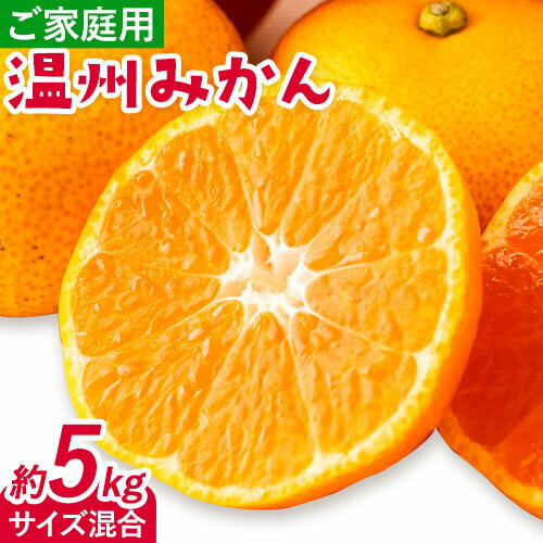 【ふるさと納税】みかん 温州みかん ご家庭用 5kg サイズ混合 GOGO農園《11月上旬-1月中旬頃出荷》 和歌山県 日高川町 うんしゅうみかん みかん 柑橘 蜜柑 フルーツ 送料無料