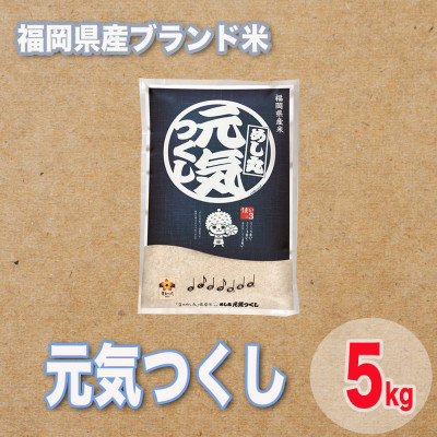 
            福岡県産ブランド米元気つくし5kg【1411443】
          