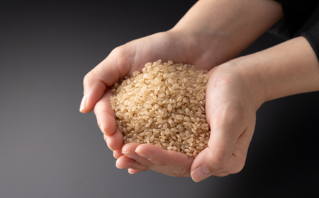 【令和7年産】新米コシヒカリ 村の「一等米」(玄米5kg×1袋) 岡山県産のお米【1489805】