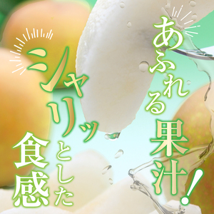 【先行予約】贈答用 信州松本平産 梨【幸水・豊水・南水】おまかせ詰め合わせセット約5kg(15～16玉）《2026年7月頃から発送》～清流と高原の風が育む、信州の香りと甘み～ 