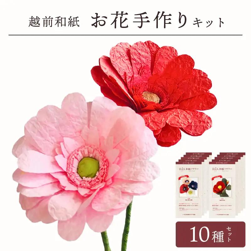 越前和紙 お花 手作りキット 10種セット（バラ カーネーション ガーベラ 他7種）【造花 インテリア お家時間 プレゼント】[e51-c001]