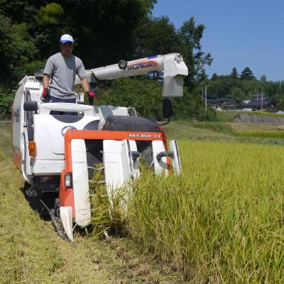 ふるさと納税 北杜市 冷めても美味しい!【令和7年産】こぴっと米【五百川】白米・2kg　特別栽培米 |  | 03