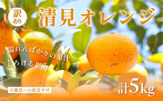 【先行予約】訳あり 清見オレンジ計5kg ※離島への配送不可（2026年3月上旬頃より順次発送予定） 【 ふるさと納税 人気 おすすめ ランキング 柑橘 みかん ミカン オレンジ 清見 清見オレンジ 訳あり フルーツ 果物 くだもの 旬 愛媛県産 愛媛みかん 浅野農園 愛媛県 伊方町 送料無料 】 IKTAC008