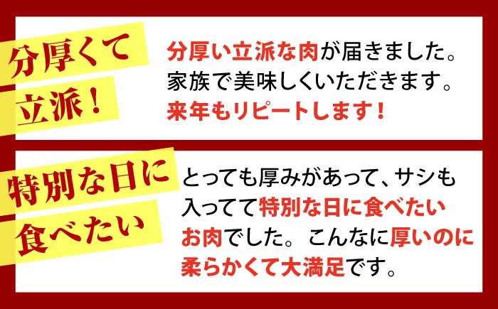 佐賀牛 A5 シャトーブリアンとサーロインの極上セット 計500g【山下牛舎】[HAD145]ヒレ シャトーブリアン 赤身 牛肉