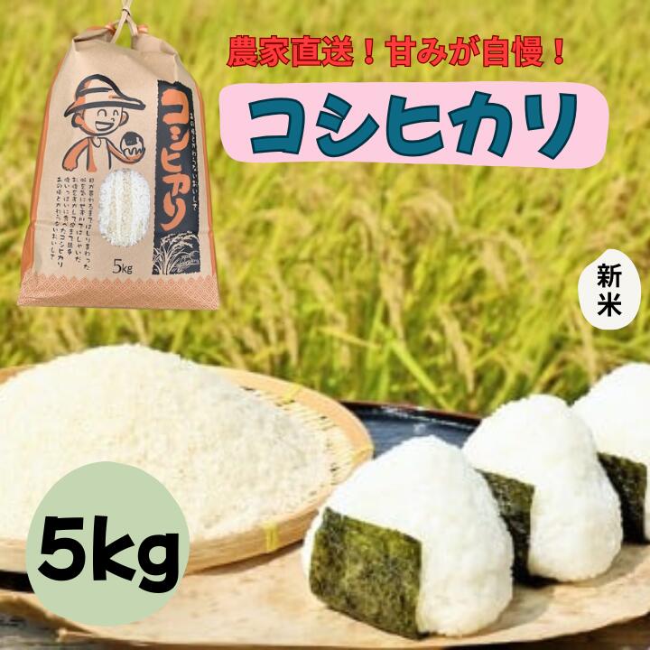 【ふるさと納税】 千葉・我孫子の農家直送！ふっくら甘み自慢の新米コシヒカリ5kg 精米 米 白米 ごはん お米 ライス ブランド米 ご飯 和食 お弁当 おにぎり 甘い 国産 コメ おかず 備蓄 お取り寄せ 送料無料 千葉県 我孫子市