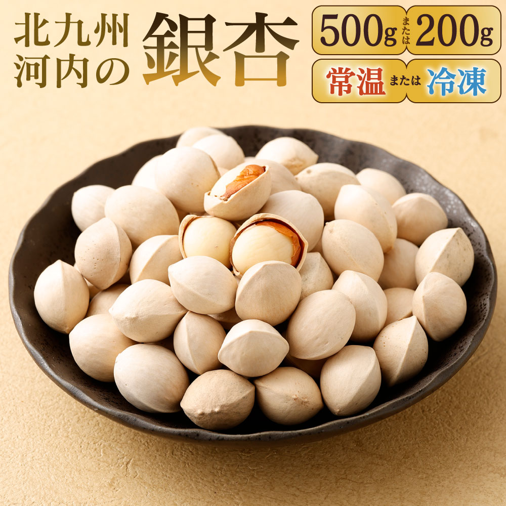 【ふるさと納税】北九州河内の銀杏 〈選べる〉200g または 500g 常温 または 冷凍 銀杏 ぎんなん 殻付き 実 おつまみ おやつ 酒の肴 モチモチ 国産 福岡県 北九州市 【2025年11月上旬～2026年2月下旬発送予定】