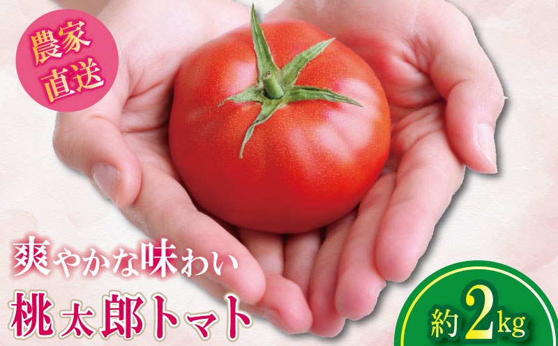【2026年1月発送】 トマト 2kg 桃太郎 先行予約  甘い 野菜 やさい 国産 産地直送 数量限定 旬 桃太郎トマト 生野菜 新鮮 ソース 調味料 ケチャップ サラダ 美容 新鮮 健康 お取り寄せ グルメ おすすめ 人気 徳島県 小松島市