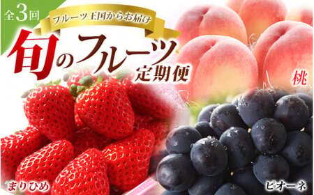 定期便【全3回/2～3・7・9月】＼フルーツ大国和歌山からお届け／ 旬のフルーツ 定期便（いちご・桃・ピオーネ）/ 定期便 フルーツ定期便 くだもの定期便 果物定期便 和歌山 果物 フルーツ【tkb401】