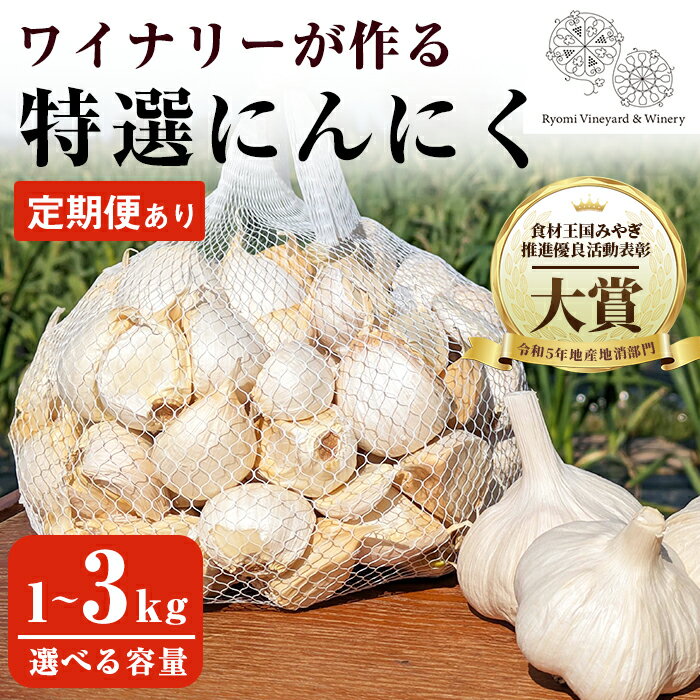 【ふるさと納税】ワイナリーが作る特選にんにく 1〜3kg ＜定期便も可！＞ バラ 選べる容量 にんにく ニンニク ガーリック 了美ホワイト 六片種 ばら ホワイト六片 おつまみ ワイン 健康 料理 産地直送 宮城県 大和町 頒布会【了美ワイナリー】ta350・ta426・ta614・ta615