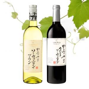 サントネージュワインが贈るカベルネ・ソーヴィニヨン/ソーヴィニヨン・ブラン赤白2本セット【1613298】