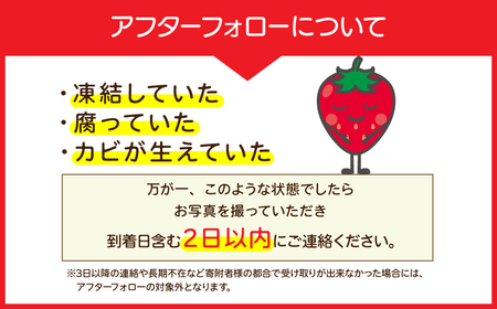 いちご【3月発送】朝採れとちおとめ 大粒 約270g × 2パック 合計 約540g | イチゴ 栃木県 茂木町