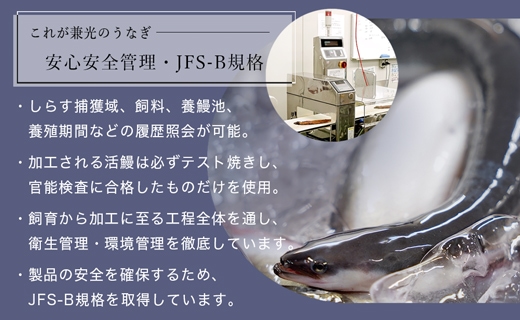 炭火手焼き 愛知県三河一色産　うなぎ蒲焼き　特大　2尾（1尾あたり186g以上）・U037