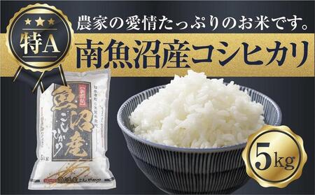 【令和7年産】 新潟県 南魚沼産 コシヒカリ お米 5kg 精米済み（お米の美味しい炊き方ガイド付き）【2025年10月中旬より順次発送予定】