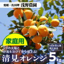 【ふるさと納税】【先行予約】【家庭用】清見オレンジ計5kg｜柑橘 みかん ミカン フルーツ 果物 愛媛 ※2025年3月上旬頃より順次発送予定 ※離島への配送不可