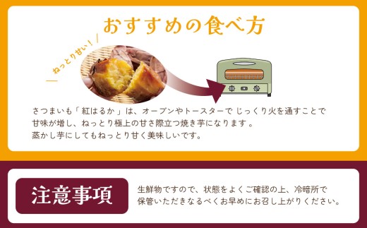 【先行予約】茨城県産 熟成さつまいも （ 紅はるか ） SS～3Lサイズ訳アリ4.5kg （ 箱入り ） │ 訳アリ 訳あり 紅はるか さつまいも サツマイモ さつま芋 芋 いも イモ お芋 おやつ スイーツ デザート 8000円 茨城県 つくば市