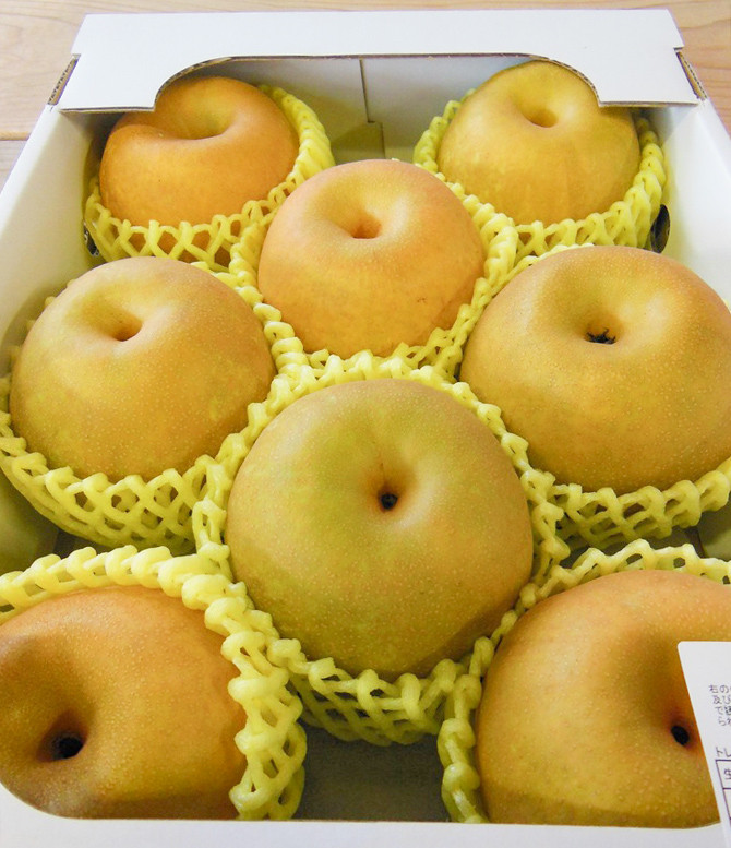【令和9年産先行予約】山形県産 和梨 品種おまかせ (幸水または豊水) 約5kg（12～16玉） 産直あぐり K-935 | 梨 ナシ 果物 くだもの フルーツ 旬 5キロ 甘い みずみずしい おすす